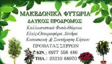 ΦΥΤΩΡΙΑ - Σέρρες - ΜΑΚΕΔΟΝΙΚΑ ΦΥΤΩΡΙΑ ΔΑΥΚΟΣ - ΦΥΤΩΡΙΑ ΣΕΡΡΕΣ ΜΑΚΕΔΟΝΙΑ ΔΡΑΜΑ - ΦΥΤΩΡΙΑ ΣΕΡΡΩΝ - ΑΝΘΗ ΦΥΤΑ - ΟΠΩΡΟΦΟΡΑ ΔΕΝΤΡΑ - ΚΑΛΛΩΠΙΣΤΙΚΑ ΦΥΤΑ - ΒΟΤΑΝΑ - ΑΡΩΜΑΤΙΚΑ ΦΥΤΑ